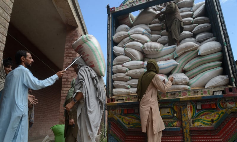 Dar orders urgent action to rein in rising wheat prices